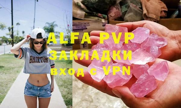 гашик Алексин