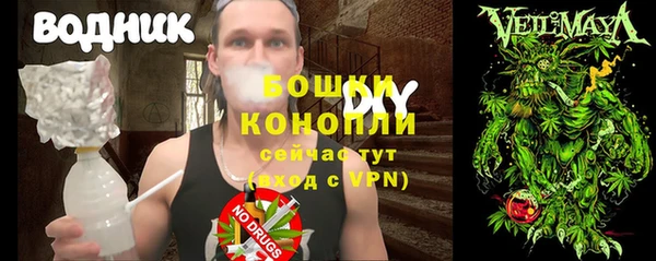 дживик Алексеевка