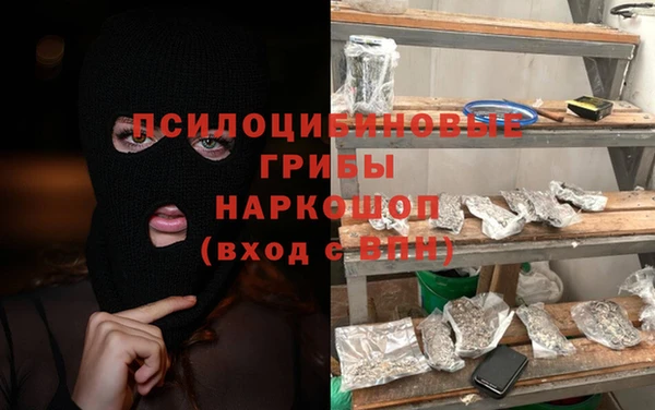 гашик Алексин