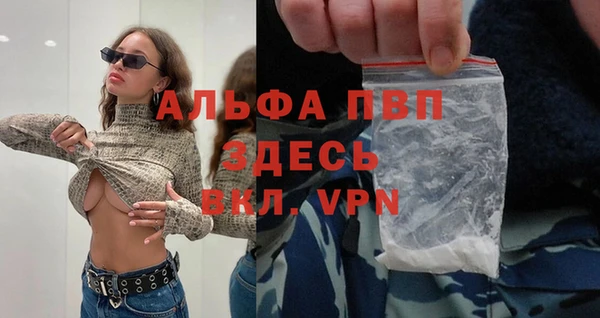 гашик Алексин