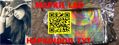Альфа ПВП Краснознаменск