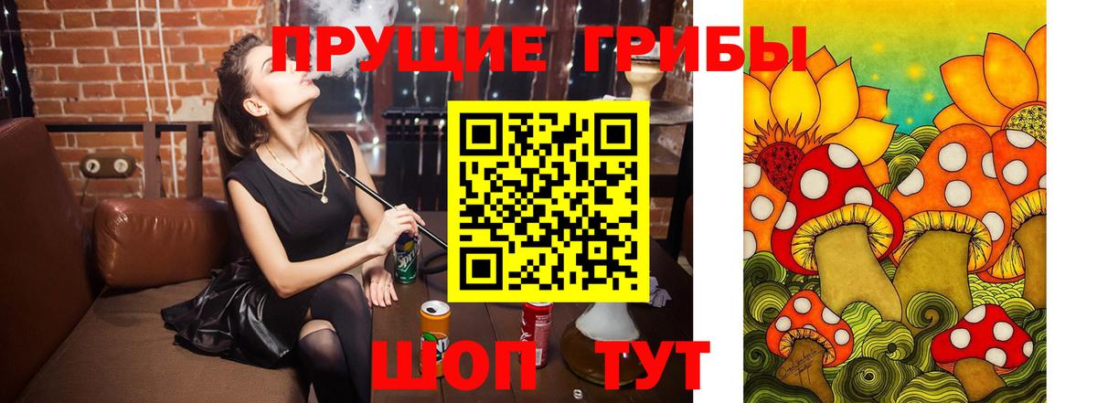Галлюциногенные грибы мухоморы  Вход с VPN  Ярославль  Псилоцибиновые грибы прущие грибы 
